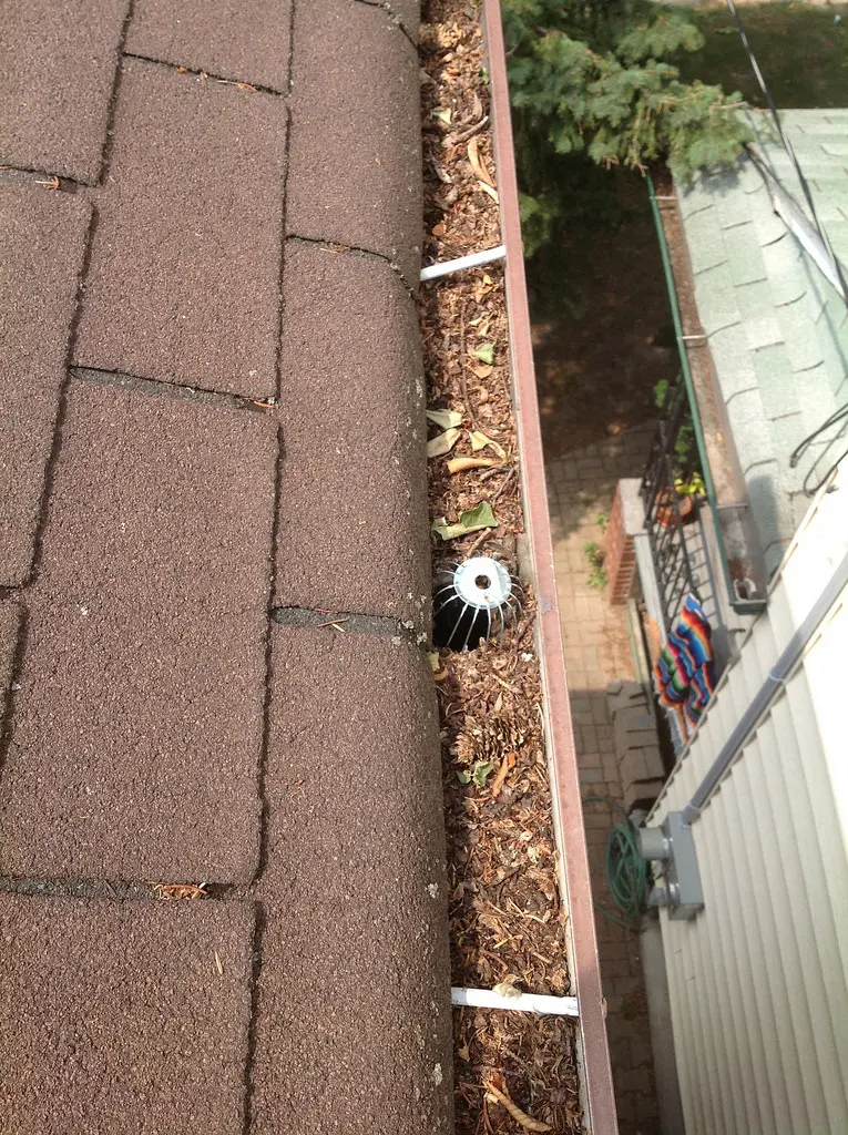 A house gutter in Markham filled with leaves and debris, with a drain cover visible in the middle, viewed from the roof’s edge.