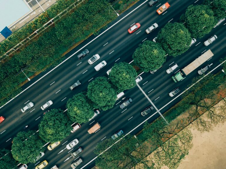 busy road divided by a tree-lined median from above