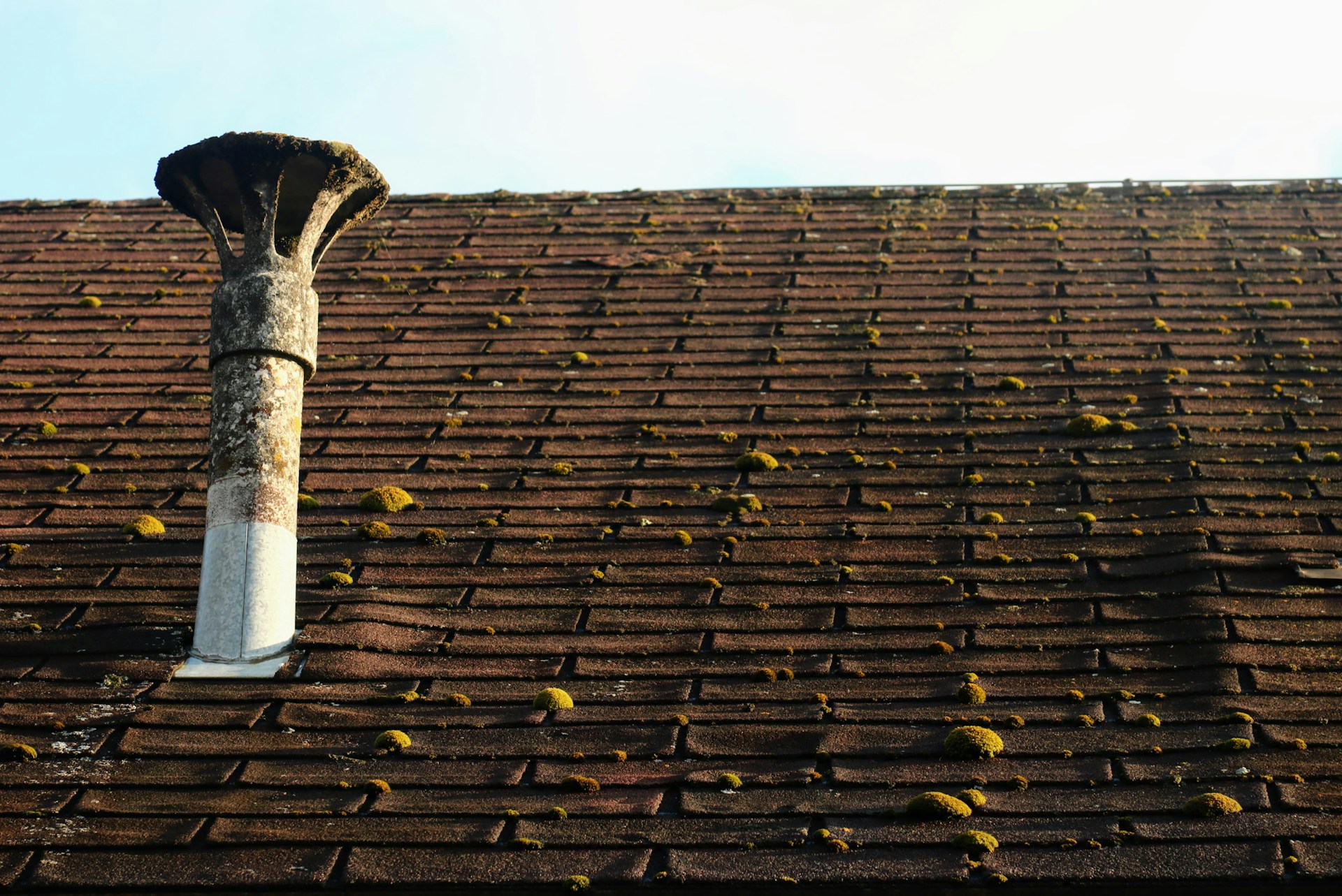 Red shingle roof with patches of green moss growing